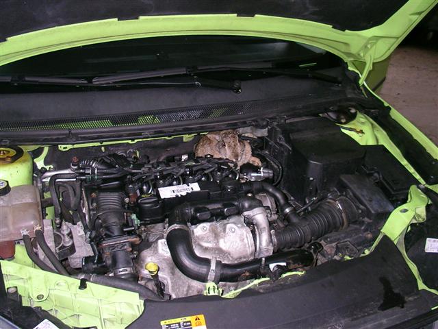 konijn onder de kap ?